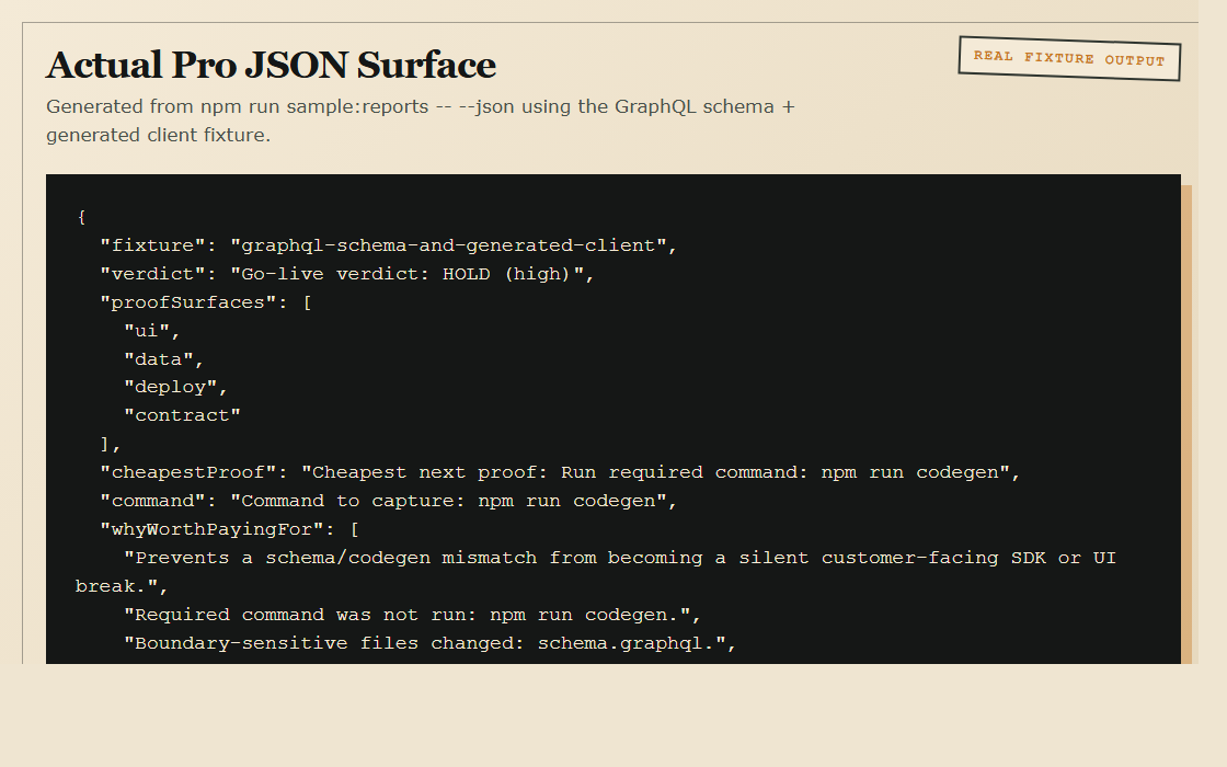 Actual Pro JSON output screenshot generated from a real fixture
